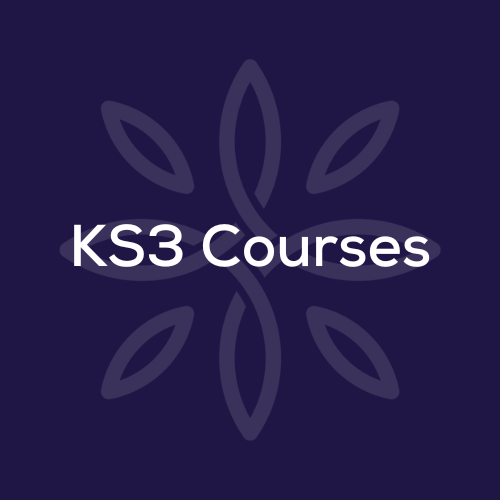 KS3 Curriculum